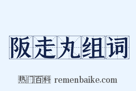 阪走丸组词是什么意思的图片